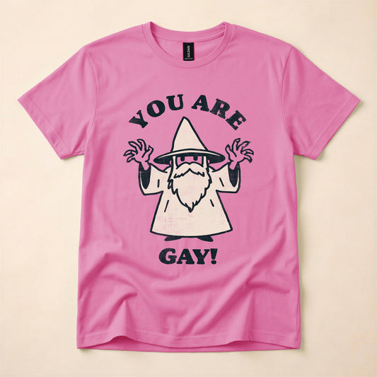 You Are Gay Wizard Shirt | Funny LGBT Tee | Queer Humor T-Shirt | Sarcastic Gay Gift | The Gay Agenda